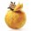 Passion Fruit & Mango - Цена: 880